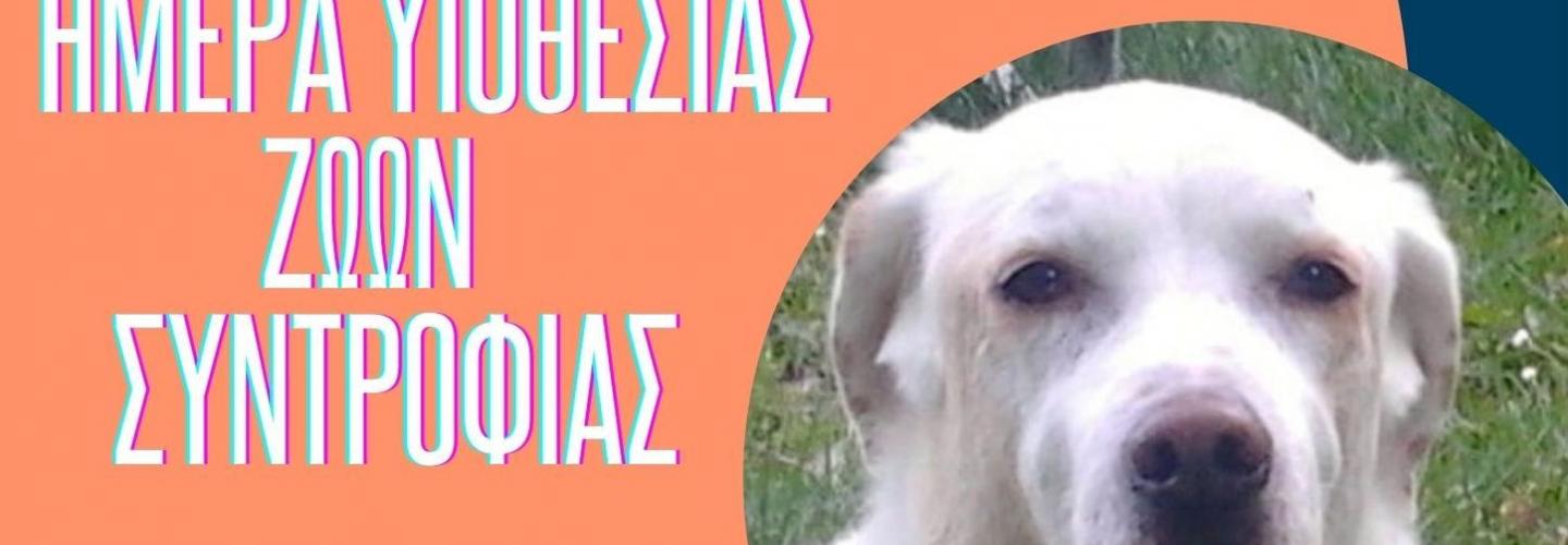ΑΦΙΣΑ -κομμενη- ΓΙΑ ΤΗΝ ΗΜΕΡΑ ΥΙΟΘΕΣΙΑΣ