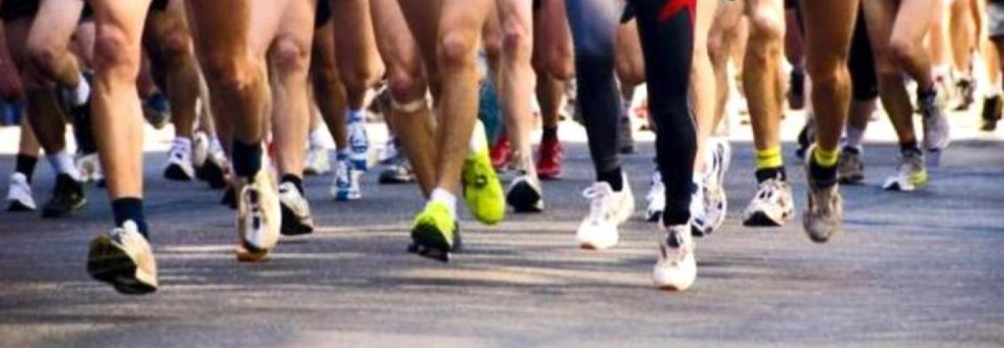 ΗΜΙΜΑΡΑΘΩΝΙΟΣ ΦΑΝΗΣ ΤΣΙΜΙΓΚΑΤΟΣ