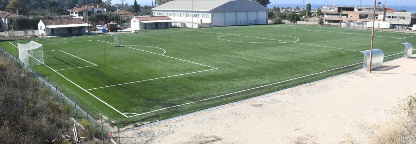 ΡΟΙΤΙΚΑ ΓΗΠΕΔΟ