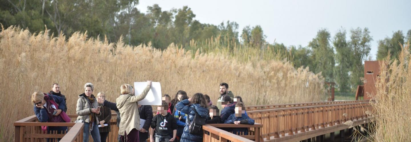 ΞΕΝΑΓΗΣΗ ΕΛΟΣ 1