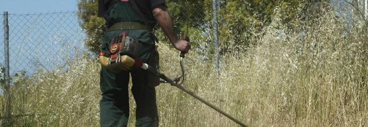 oikopeda-katharismos