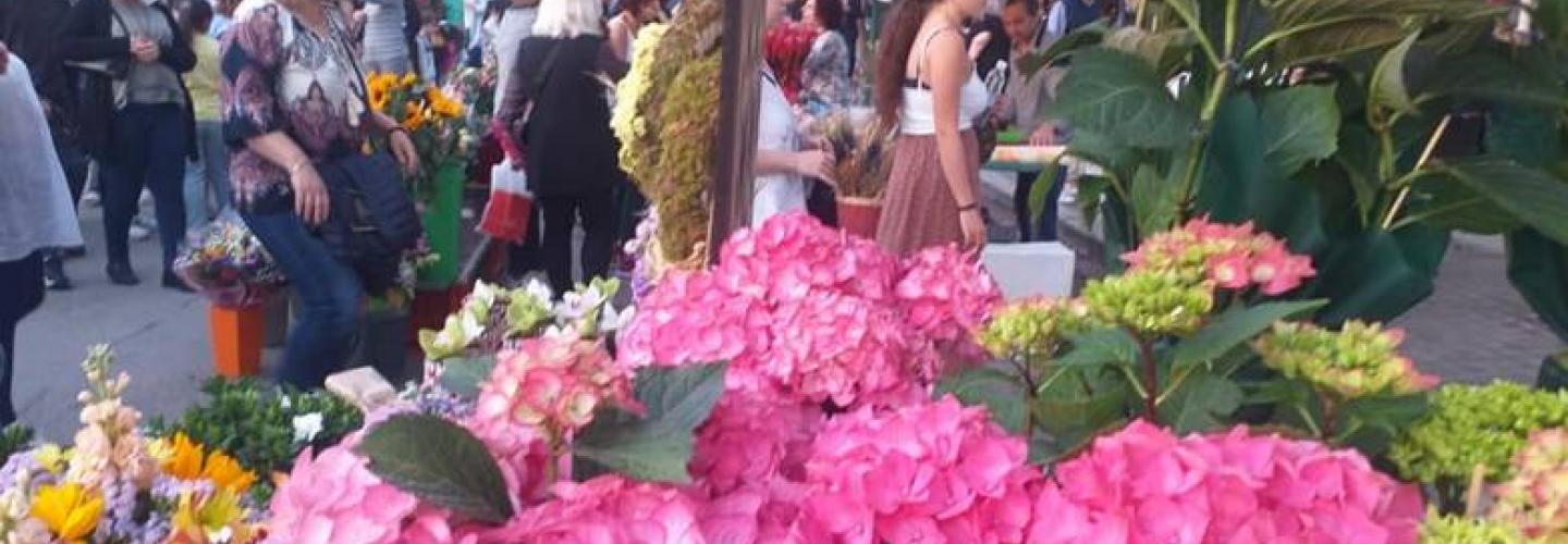 ΠΡΩΤΟΜΑΓΙΑ