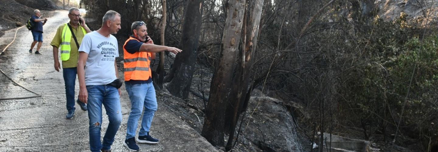 ΑΝΑΣΤΑΣΙΟΥ ΣΤΑ ΚΑΜΜΕΝΑ