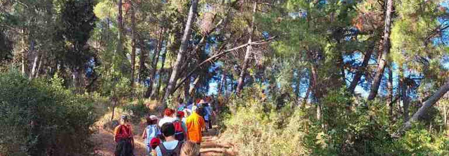 ΚΑΤΑΣΚΗΝΩΣΗ ΔΑΣΟΣ ΟΜΠΛΟΥ1