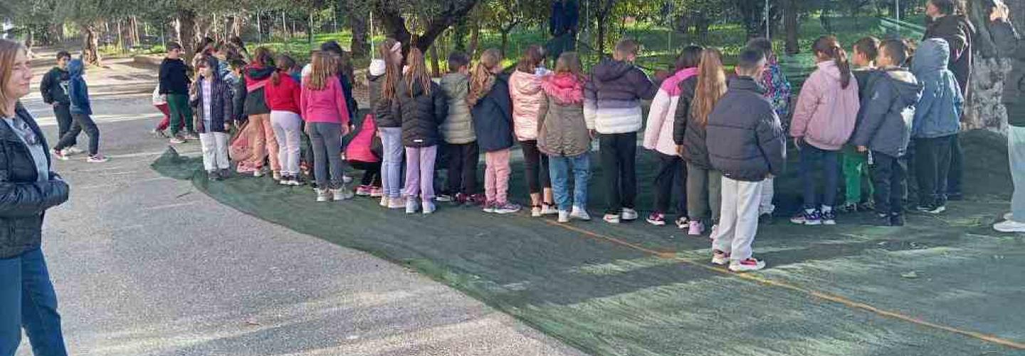 ΕΛΙΕΣ 22ο ΔΗΜΟΤΙΚΟ