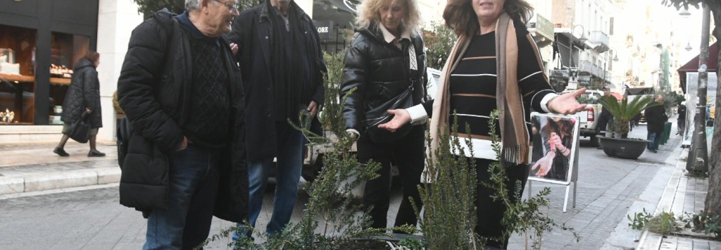 ΠΕΤΡΟΠΟΥΛΟΣ - ΡΗΓΑ ΦΕΡΑΙΟΥ - ΦΥΤΑ