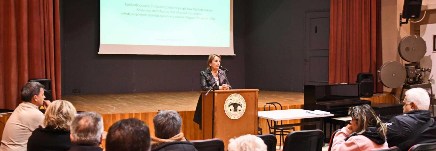 ΠΡΟΣΦΥΓΙΚΑ - ΚΥΚΛΟΦΟΡΙΑΚΗ ΜΕΛΕΤΗ