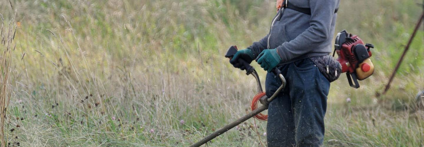 ΚΑΘΑΡΙΣΜΟΣ ΟΙΚΟΠΕΔΩΝ