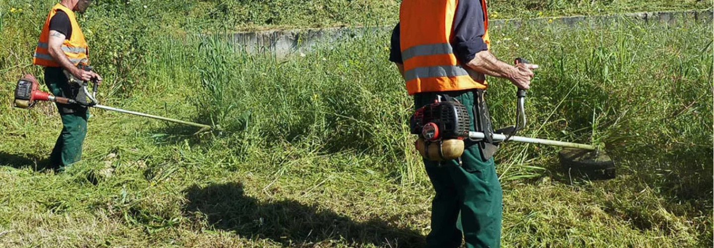 akatharista_oikopeda