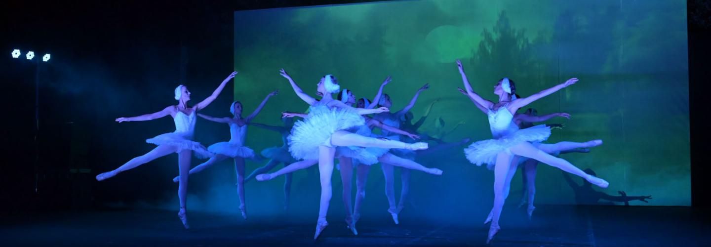 Η ΛΙΜΝΗ ΤΩΝ ΚΥΚΝΩΝ