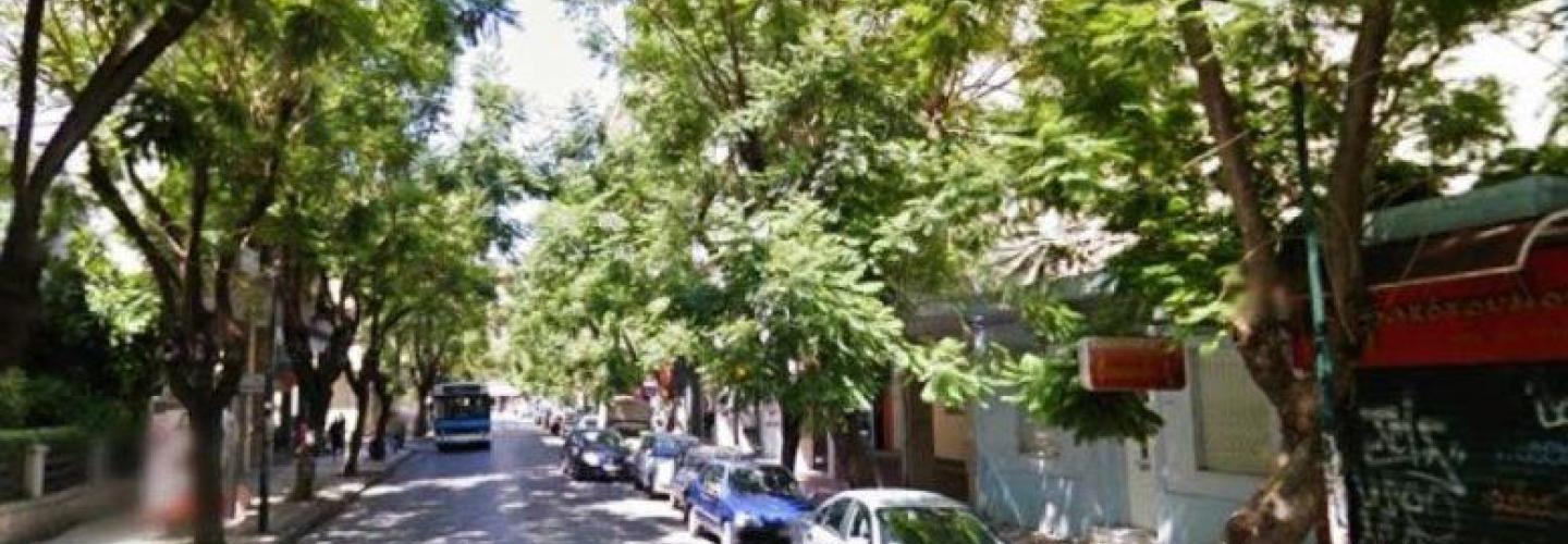 ΚΛΑΔΕΜΑΤΑ ΚΩΝΣΤΑΝΤΙΝΟΥΠΟΛΕΩΣ