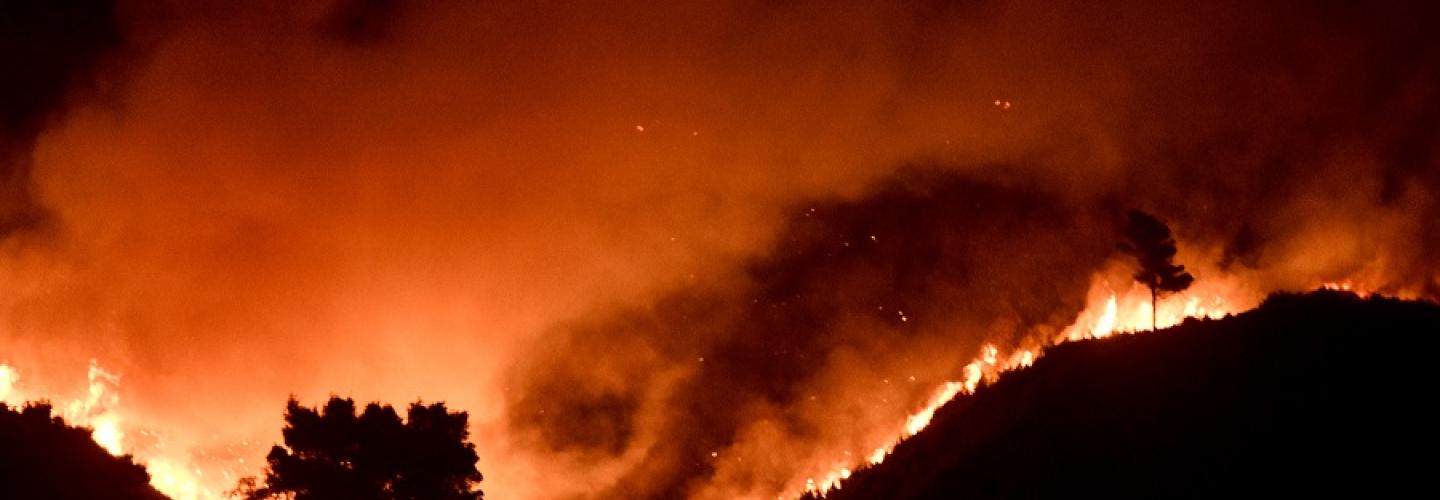 φωτια 12 Αυγουστου