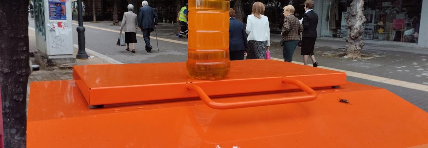 ΤΗΓΑΝΕΛΑΙΑ