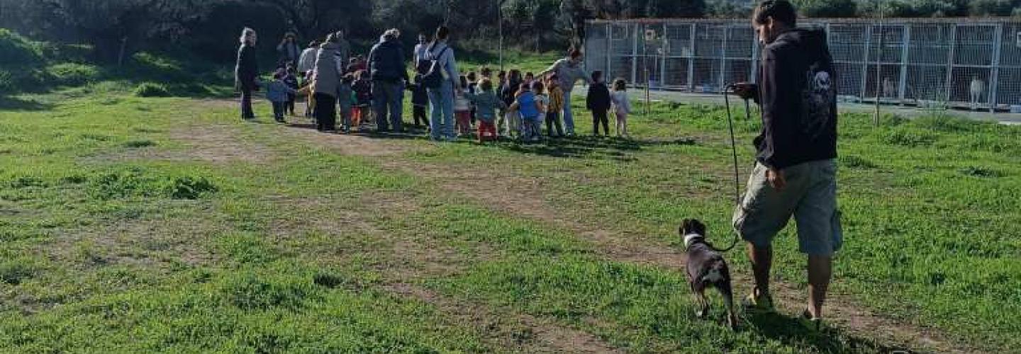 ΠΡΟΝΗΠΙΑ ΔΡΕΠΑΝΟ