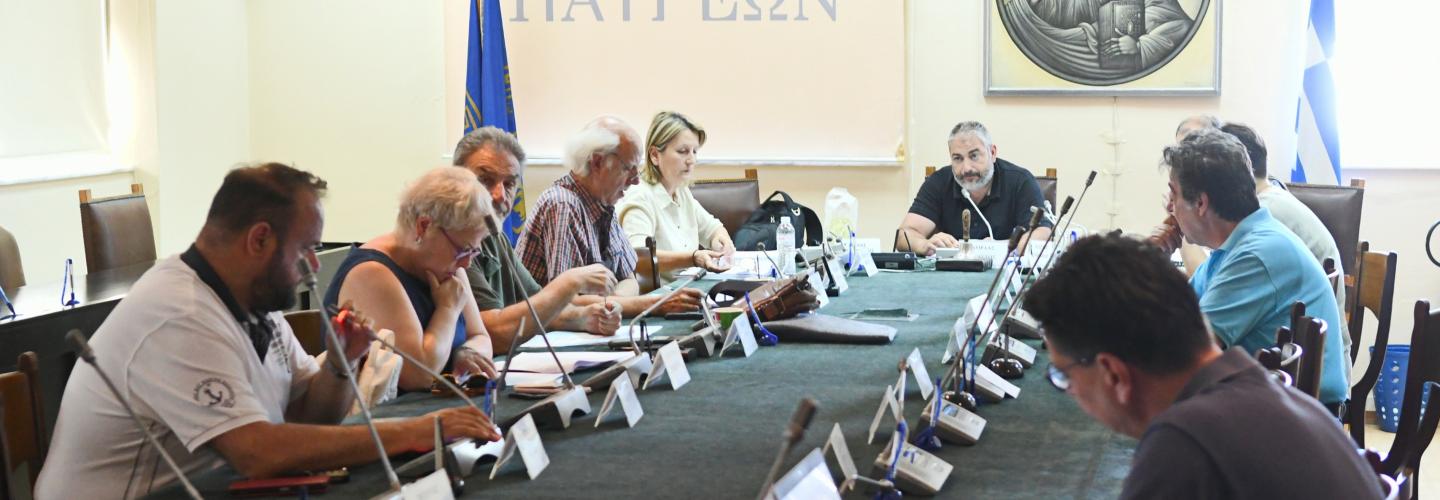 ΔΗΜΟΤΙΚΗ ΕΠΙΤΡΟΠΗ