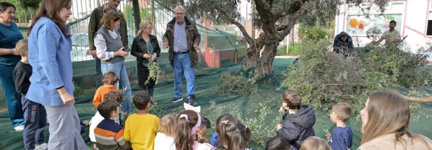 ΠΕΛΕΚΟΥΔΑΣ - 2ο ΝΗΠΙΑΓΩΓΕΙΟ ΡΙΟΥ - ΕΛΙΕΣ