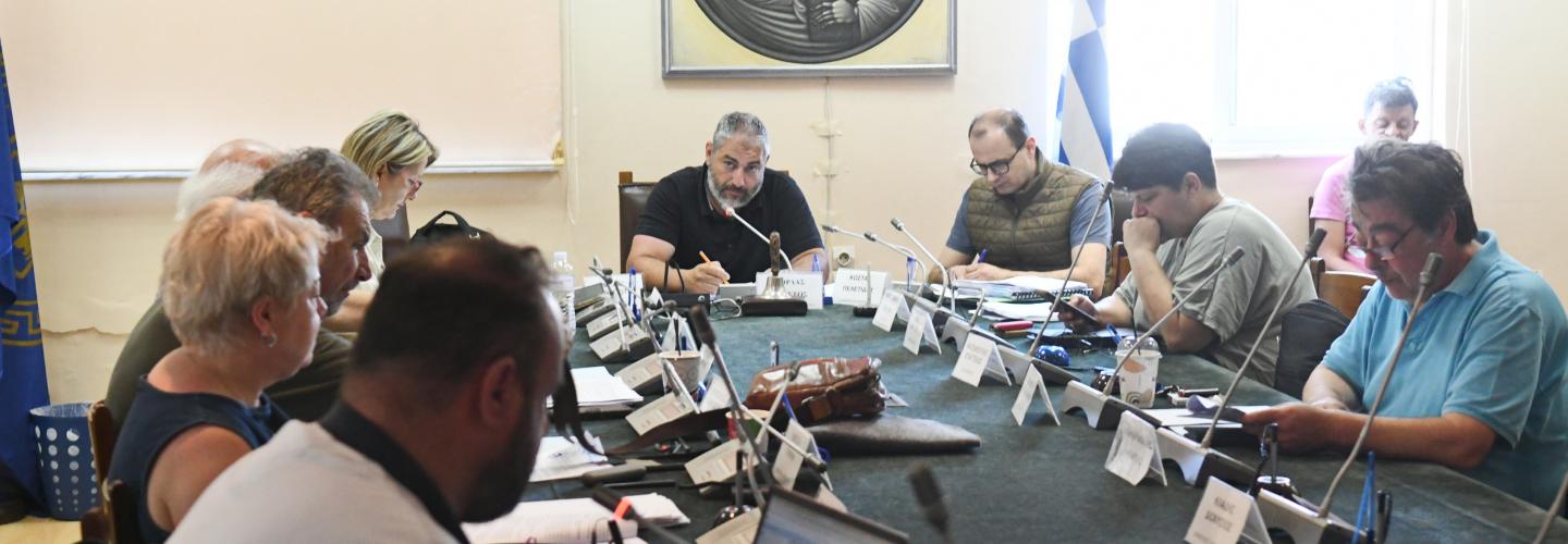 ΔΗΜΟΤΙΚΗ ΕΠΙΤΡΟΠΗ