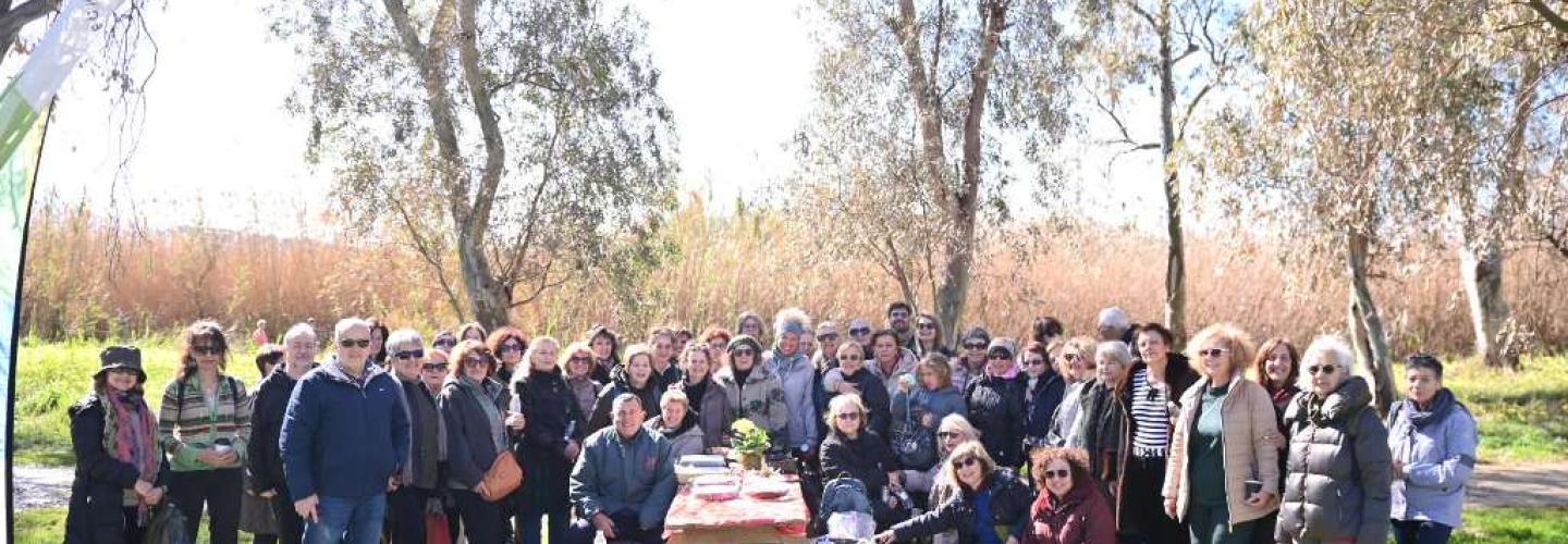 ΜΑΓΙΑΚΗΣ - ΠΙΤΑ ΠΑΡΚΟΥ