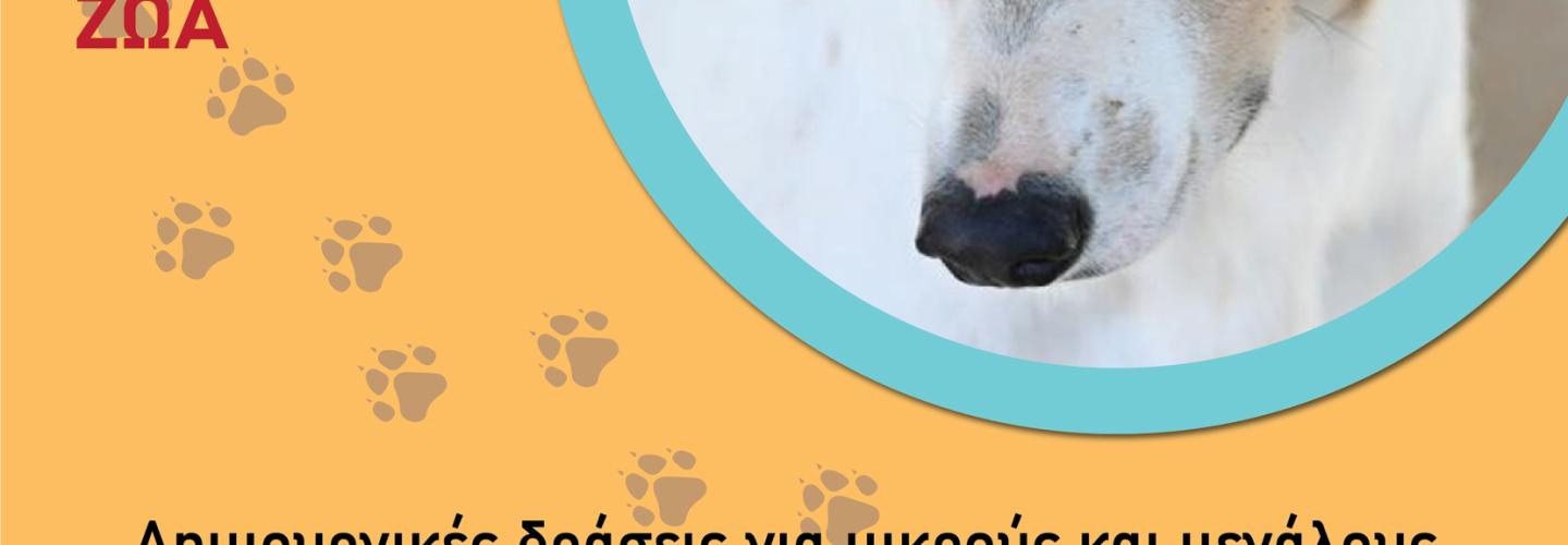 ΑΔΕΣΠΟΤΑ ΕΚΔΗΛΩΣΗ