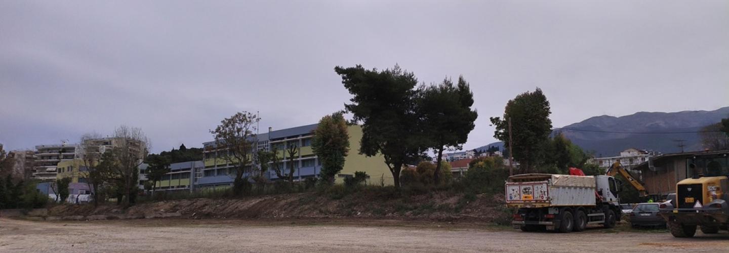 ΚΑΘΑΡΙΣΜΟΣ ΟΙΚΟΠΕΔΩΝ