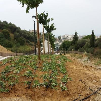 Τμήμα Μελέτων Έργων Πρασίνου